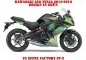 Preview: EV-X Grün für Kawasaki Ninja 650 2012-2016